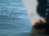 waterline